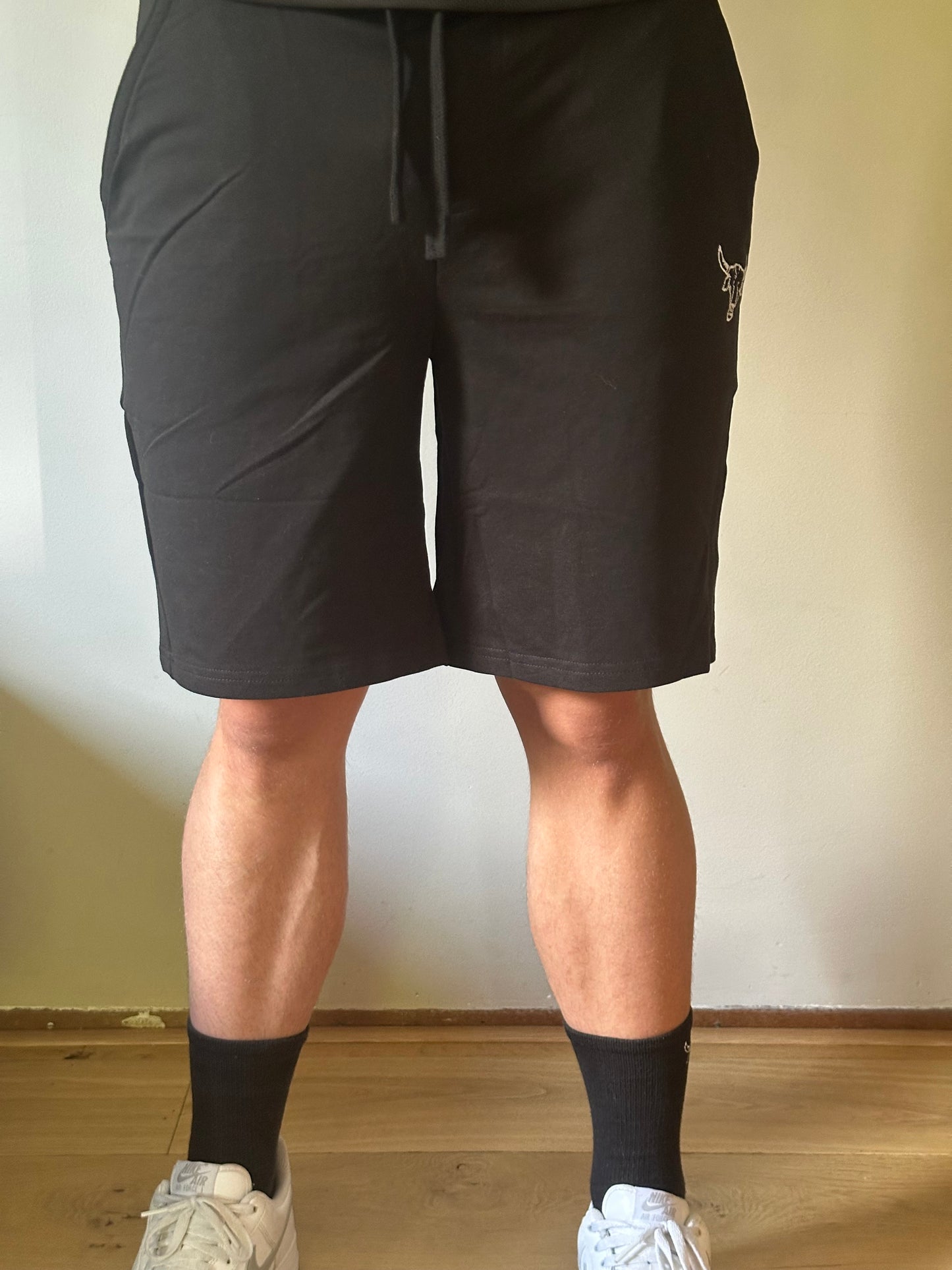 BS Icon Shorts